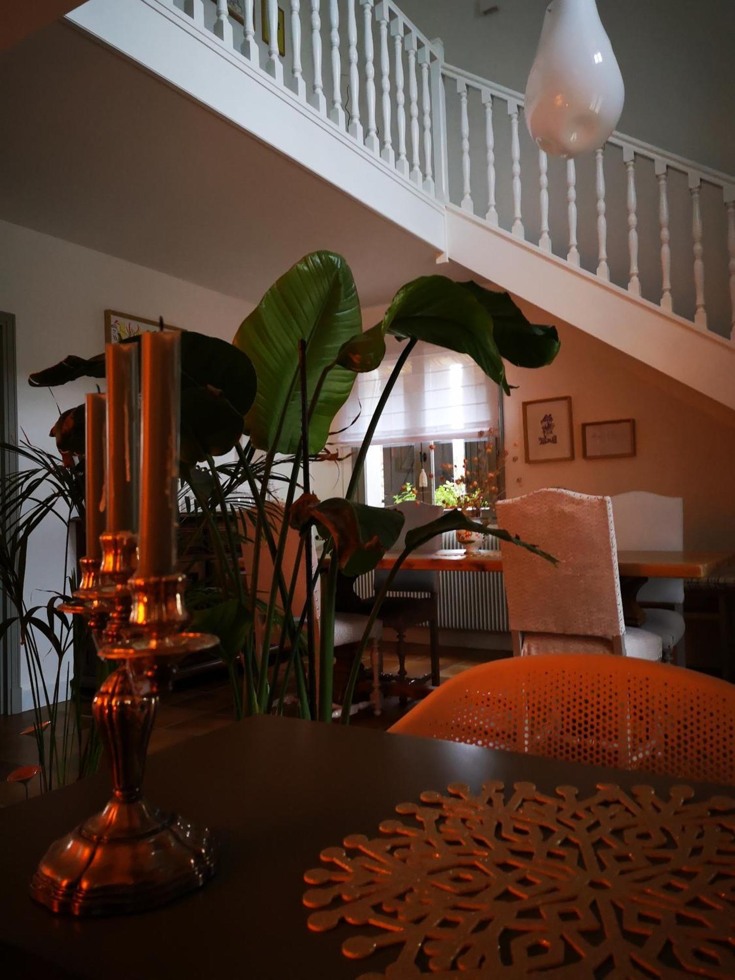 Maison Et Florescence Nuits-Saint-Georges Esterno foto