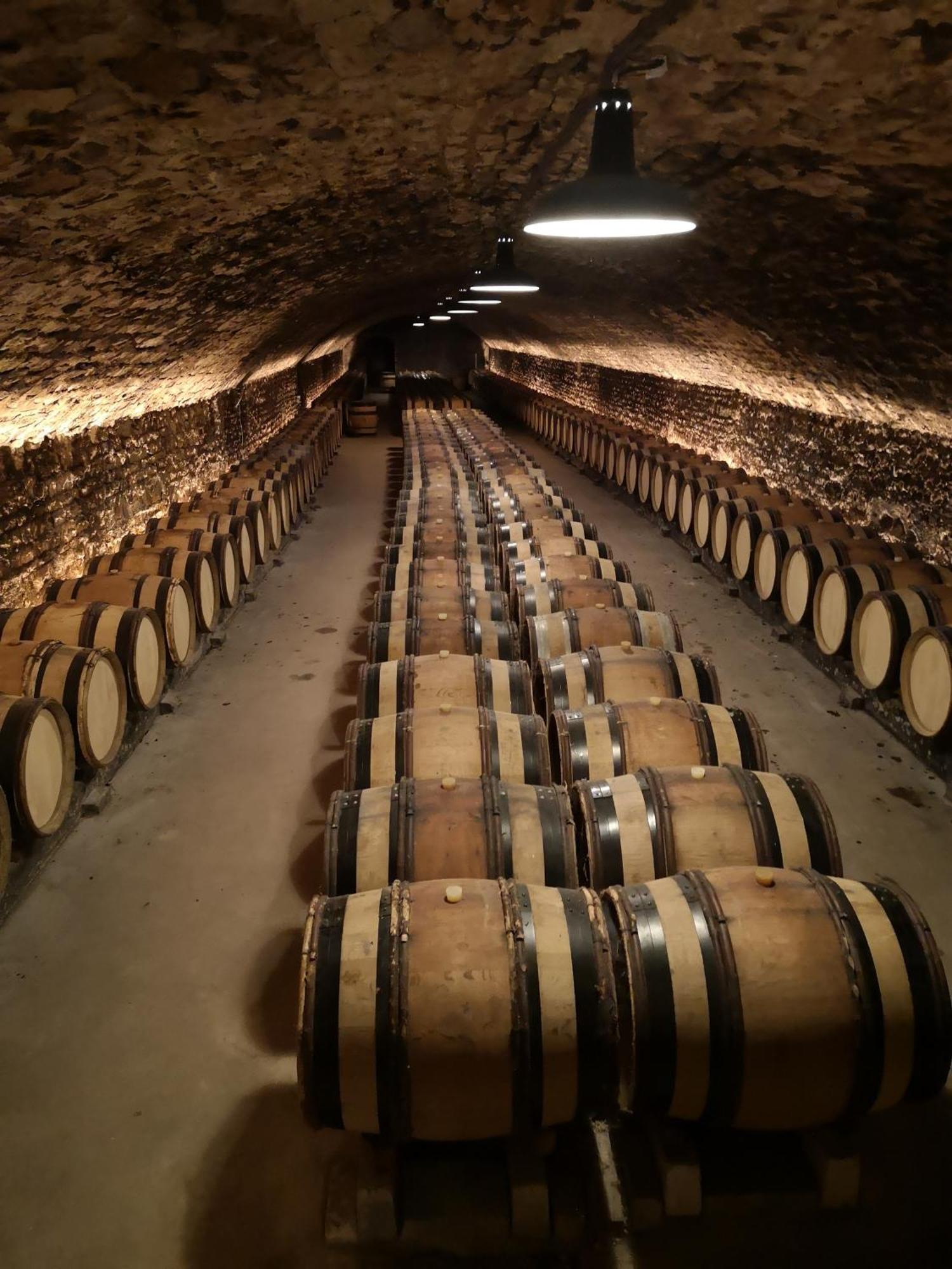 Maison Et Florescence Nuits-Saint-Georges Esterno foto